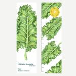 Ayraç-Kale