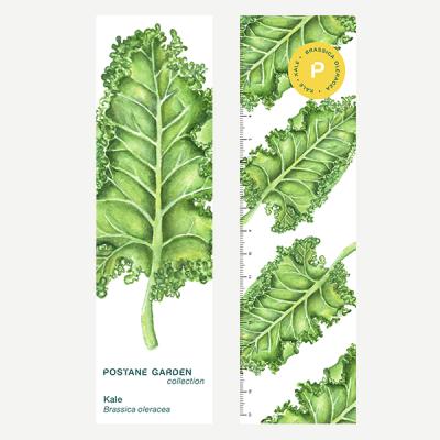 Ayraç-Kale