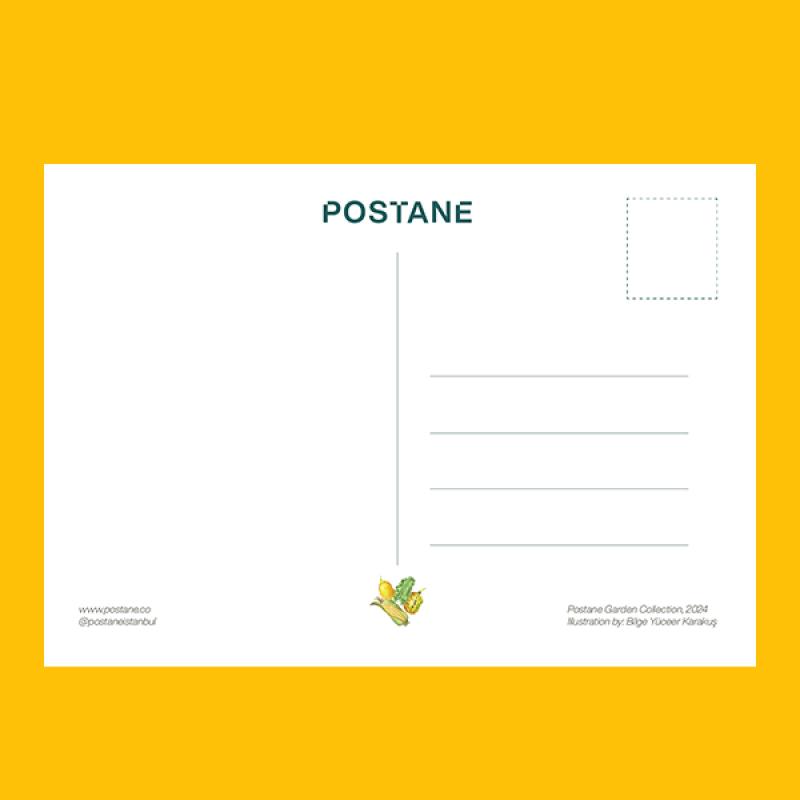 Kartpostal - Mısır
